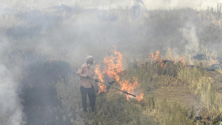 Stubble Trouble: Punjab, Haryana Spar Over Farm Fires As AQI Takes A Dip