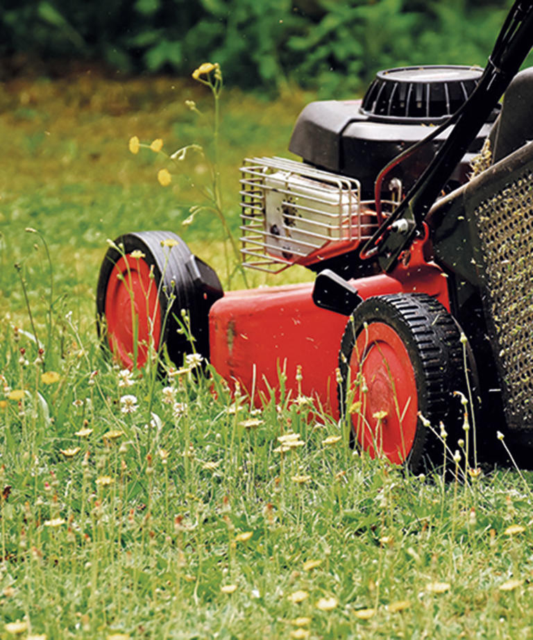 How to winterize a lawn mower 6 key steps experts when