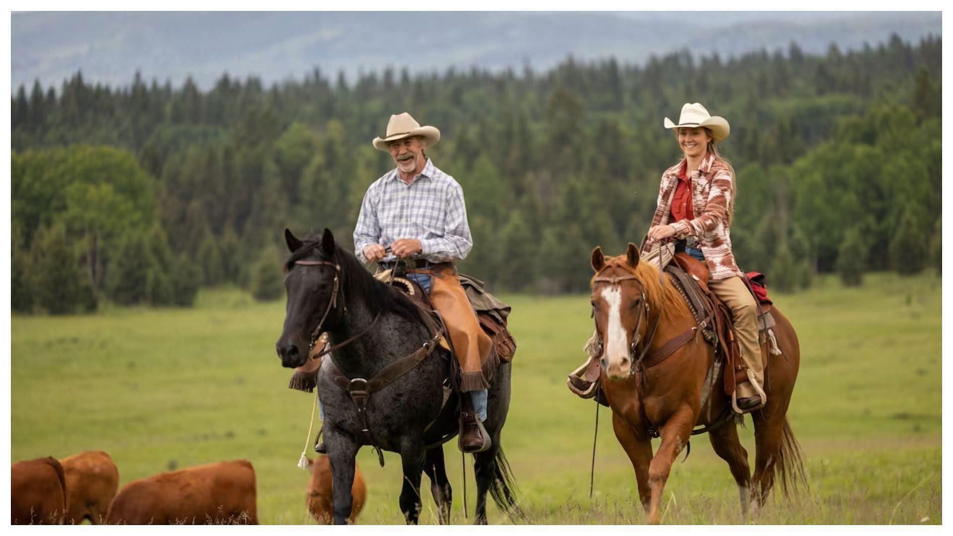 Heartland season 17 episode 6 first look sees Amy running into an old ...