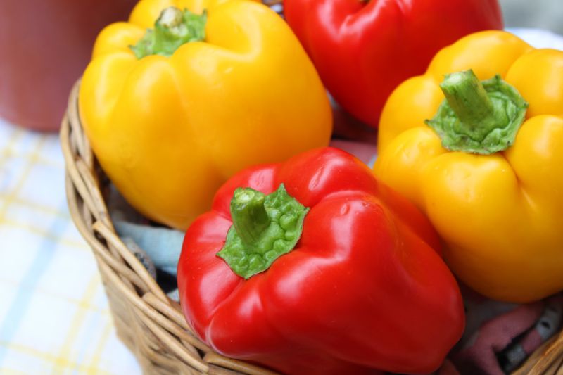 ▲農糧署解釋，甜椒皆會經歷轉色的過程，在綠色狀態時採下可當青椒，轉色後摘採則可當彩色甜椒。（示意圖／取自unsplash）