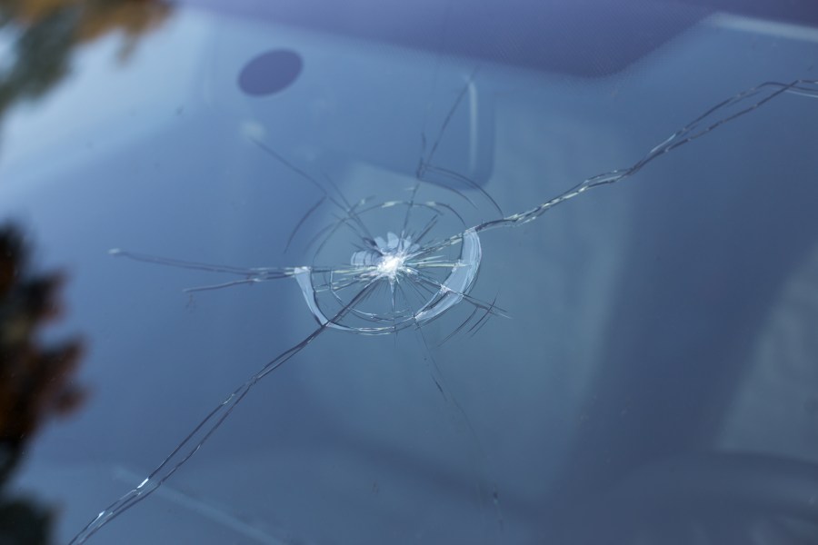 How Much Does It Cost To Replace A Windshield   AA1jqta9.img