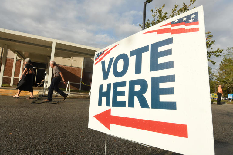 Meet the candidates vying for a spot on the New Hanover County ballot ...