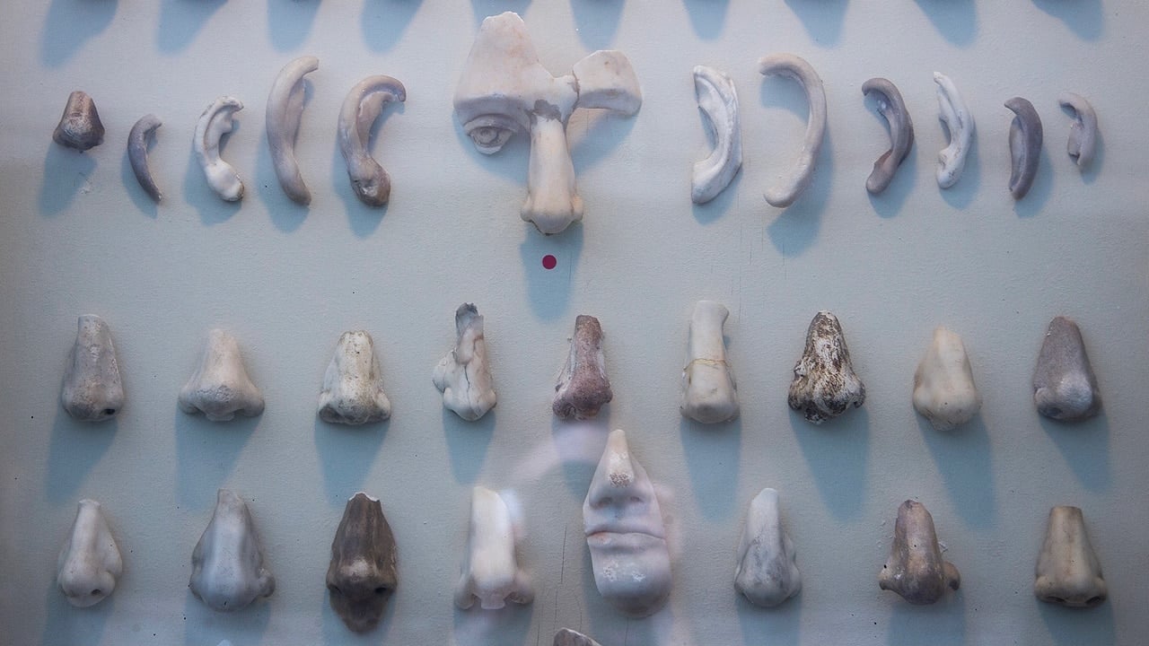 <p>A <em>nasothek</em> is the name for a collection of sculpted noses, although the very existence of such a thing is weird enough for inclusion. The nasothek at Lund University in Sweden doubles as a museum and is a thoroughly jarring experience. First place in the “nose collection” goes to a cast of Tycho Brahe’s silver schnozz, one of more than 100 snouts on display in the museum. Noses are weird, and this is anatomy exploration at its most bizarre.</p>