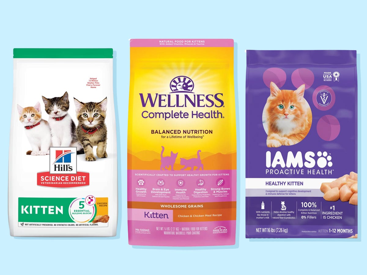 The best dry cat foods of 2024, reviewed with advice from vets