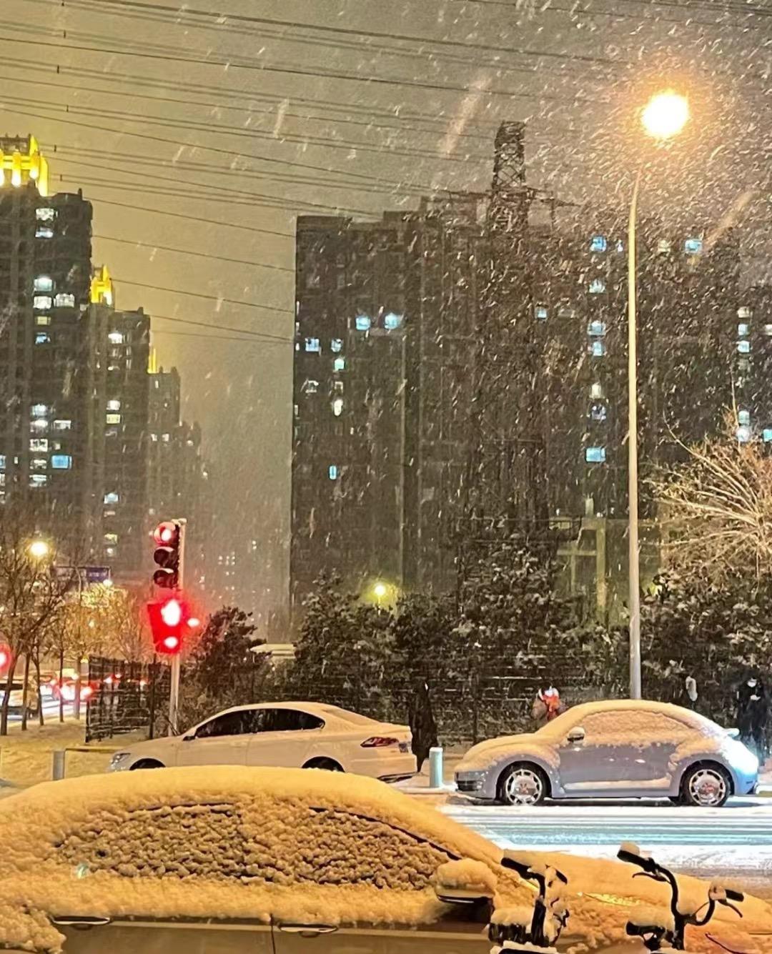 黑龙江鸡东县24小时降水量超50毫米 市民:这是我30多岁见过下雪最大的