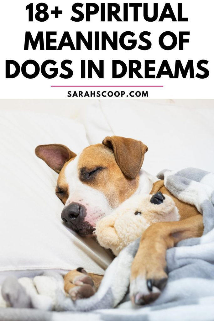 18 Spiritual Meanings and Symbolism of Dogs in Dreams