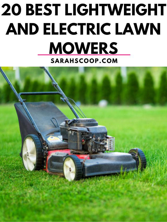 20 Best Lightweight and Electric Lawn Mowers (2024)