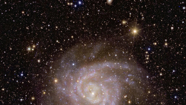 Foto door ruimtetelescoop Euclid van het "Verborgen Sterrenstelsel" (IC 342), op 11 miljoen lichtjaar van ons. 