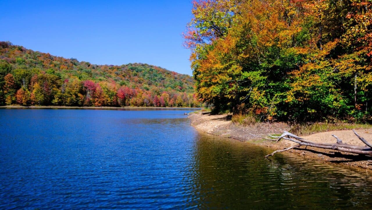 <p>Established in 1920, Monongahela National Forest is a true state treasure. Its ecologically diverse 919,000 acres offer elevations from 1,000 feet up to 4,863 feet above sea level. With an extensive backroad road and trail system, it’s a hiker’s haven. If you’re looking for a well-rounded outdoor experience, you’re lucky: the forest has everything from mountain biking, wildlife viewing, and fishing to horseback riding and hunting. </p>