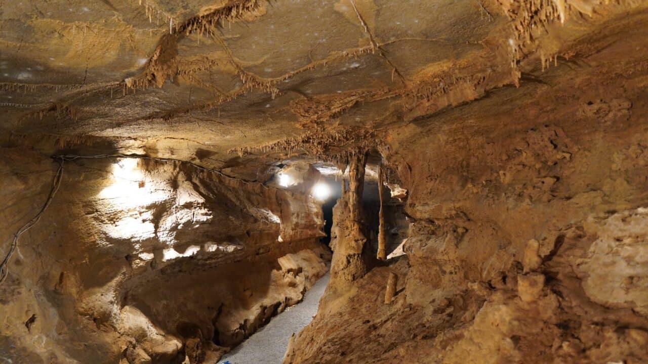 <p>In the 1400s, the Seneca Indians used the cave for shelter and ceremonial purposes, but these days, Seneca <a href="https://wealthofgeeks.com/iconic-landmarks-in-all-50-states/">Caverns</a> is a major tourist attraction. It is located in Riverton, WV, and sits at a constant 54 degrees, perfect in the summer and the cold winter. Don’t worry about uneven pathways; the cave walk offers a smooth path and handrails where necessary. </p>