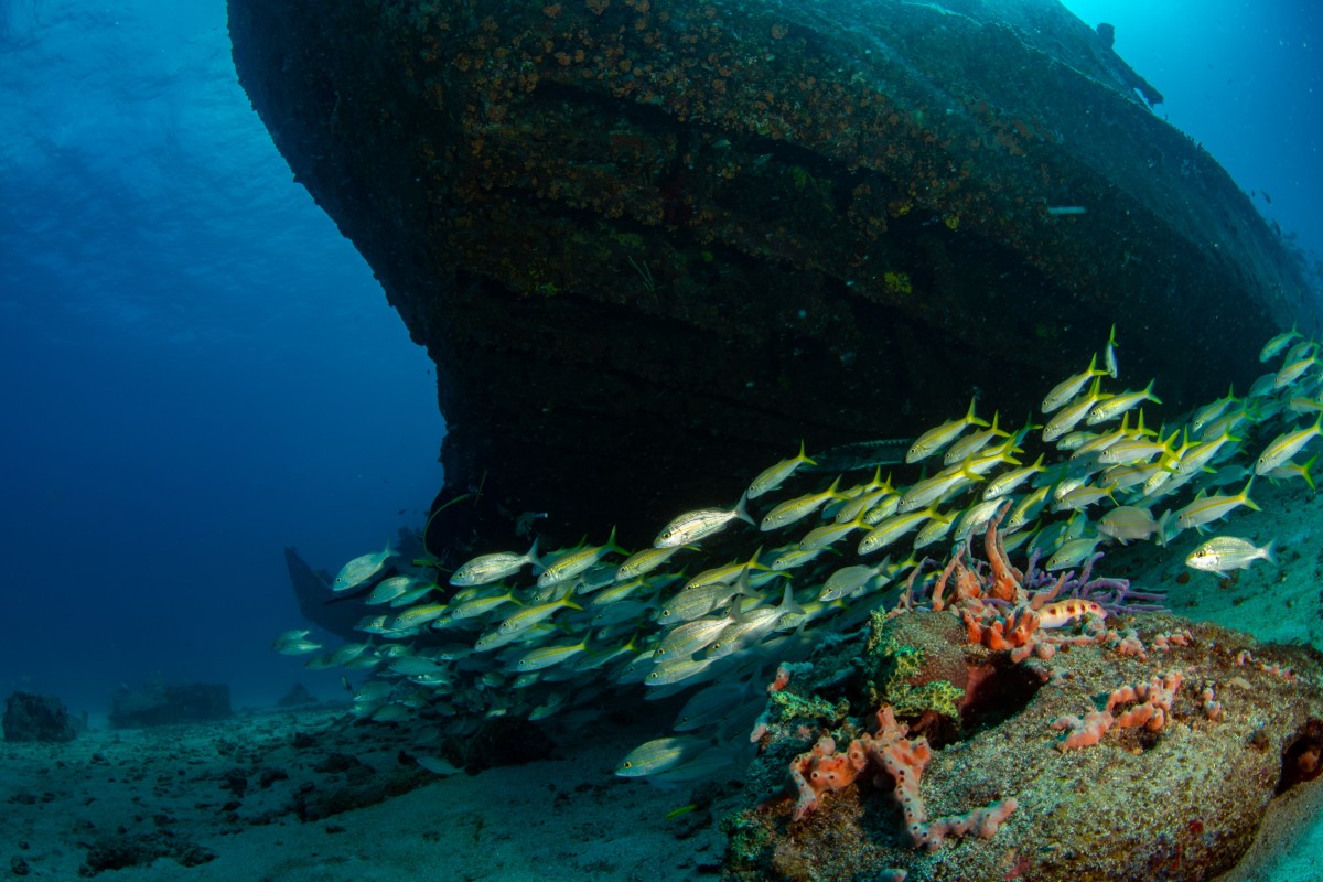 ‘Holy Grail’ Of Shipwrecks Found Off Coast Of Colombia Is A Treasure ...