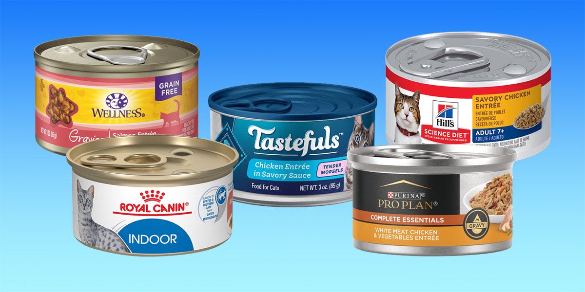 The Best Wet Cat Foods Of 2024, According To Veterinarians