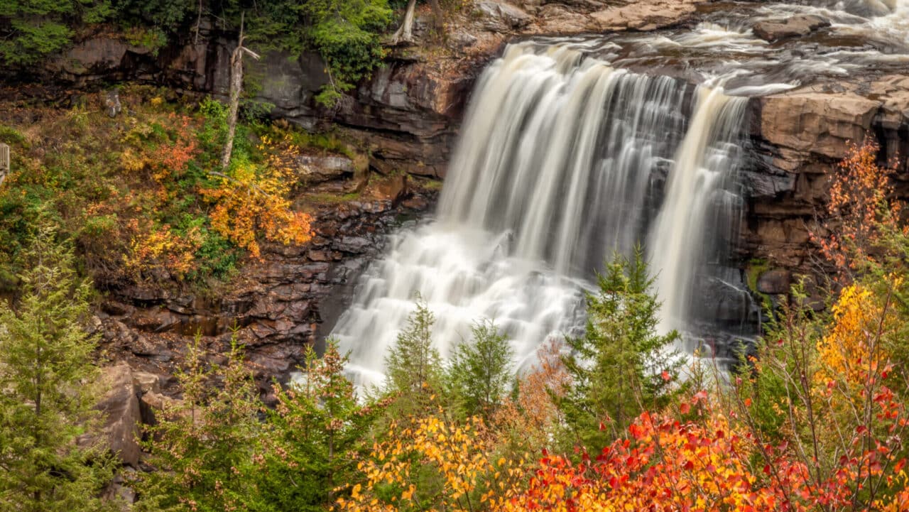 <p>If you want to visit West <a href="https://wealthofgeeks.com/amusement-parks-in-virginia/">Virginia</a>’s most iconic waterfall, head to <a href="https://wvstateparks.com/park/blackwater-falls-state-park/">Blackwater Falls State Park</a>. Compliments of the tannic acid released by fallen hemlock trees and red spruce needles, the water falling off the 62-foot plunge gives off an amber hue. From the park’s parking lot, it’s an easy 10-minute walk to get to the viewing decks. </p>
