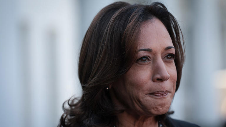 A Secret Service agent with Vice President Kamala Harris’ detail was removed from their assignment after engaging in a physical fight, a source confirmed to Fox News Digital. Getty Images