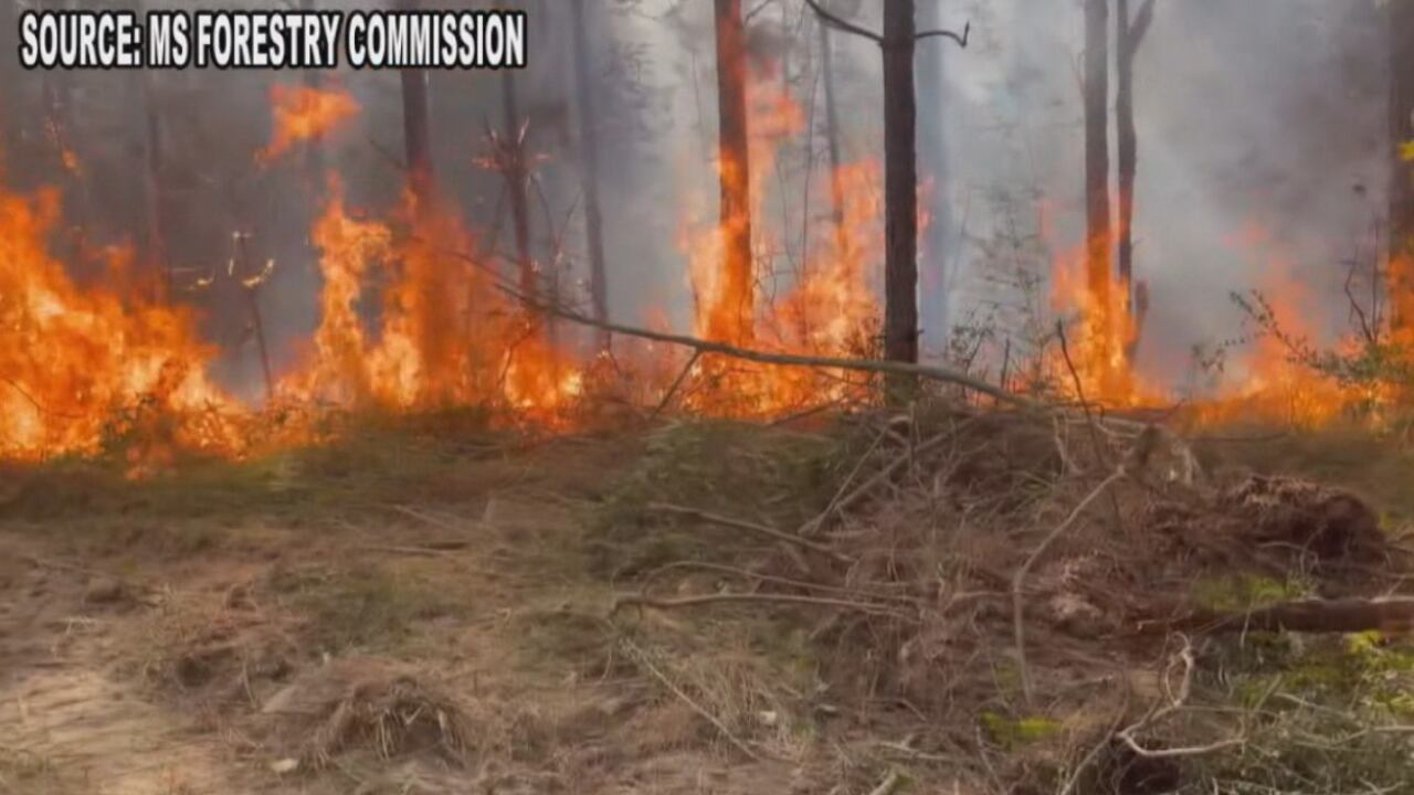 Mississippi Partial Statewide Burn Ban lifted