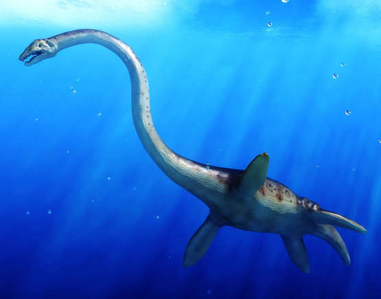 Zouden Plesiosauriërs in Loch Ness kunnen overleven?