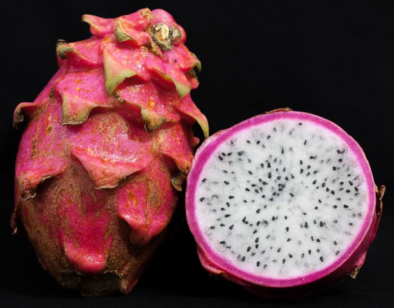 Kiwi dragon fruit. Плод кактуса питахайя. Гилоцереус плоды. Гилоцереус Кактус плоды. Экзотические фрукты розовый с колючками.