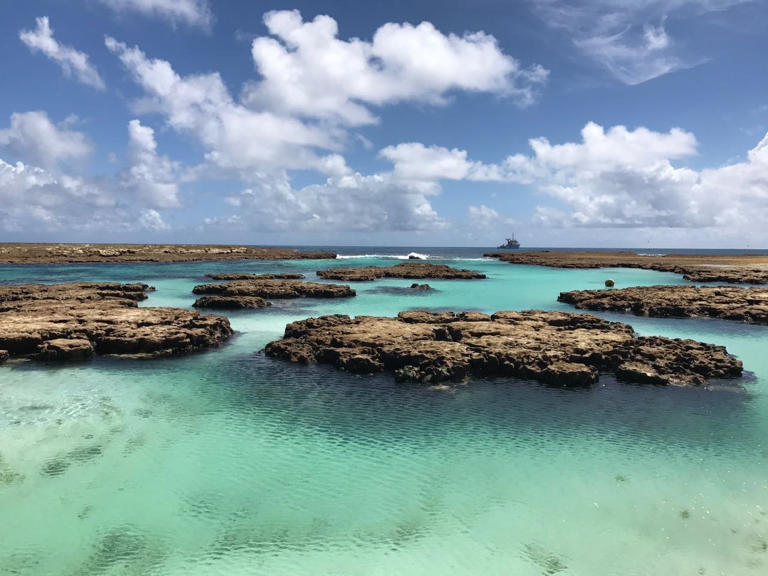 Atol das Rocas (foto: Wikimedia Commons)