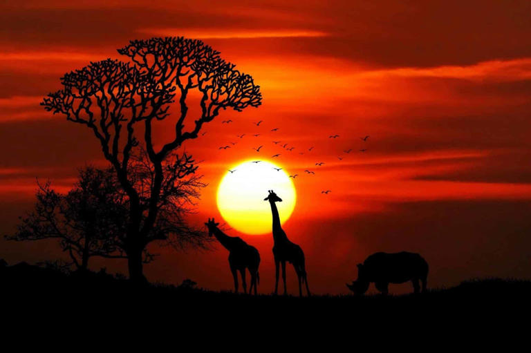 Top 10 Safari Parks in Africa
