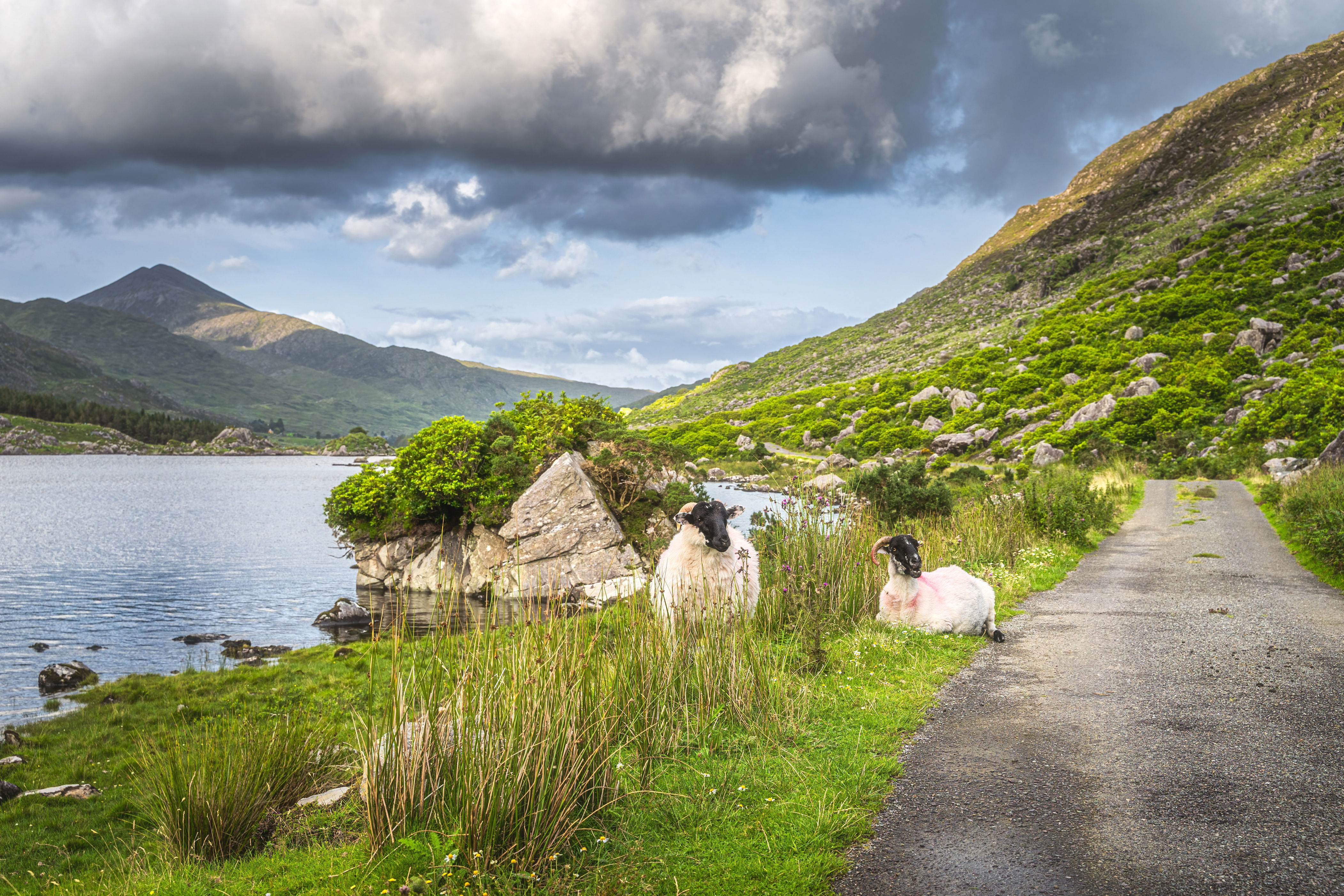 <p><strong>Location:</strong> County Kerry</p> <p>The Ring of Kerry, a 111-mile-long drive that loops around the Iveragh Peninsula, is really like several dozen beautiful places packed into one: The route passes by Killarney National Park, Skellig Michael, and several more entries on this list. Driving (<a href="https://www.cntraveler.com/story/best-hiking-in-europe?mbid=synd_msn_rss&utm_source=msn&utm_medium=syndication">or hiking</a>) the Ring of Kerry is a great activity for first-time visitors to Ireland, as it perfectly showcases the country’s green spaces and Atlantic coast.</p><p>Sign up to receive the latest news, expert tips, and inspiration on all things travel</p><a href="https://www.cntraveler.com/newsletter/the-daily?sourceCode=msnsend">Inspire Me</a>