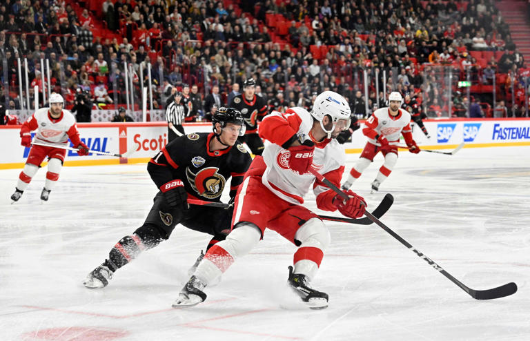 'Unbelievable experience' for Detroit Red Wings in Sweden marred by ...