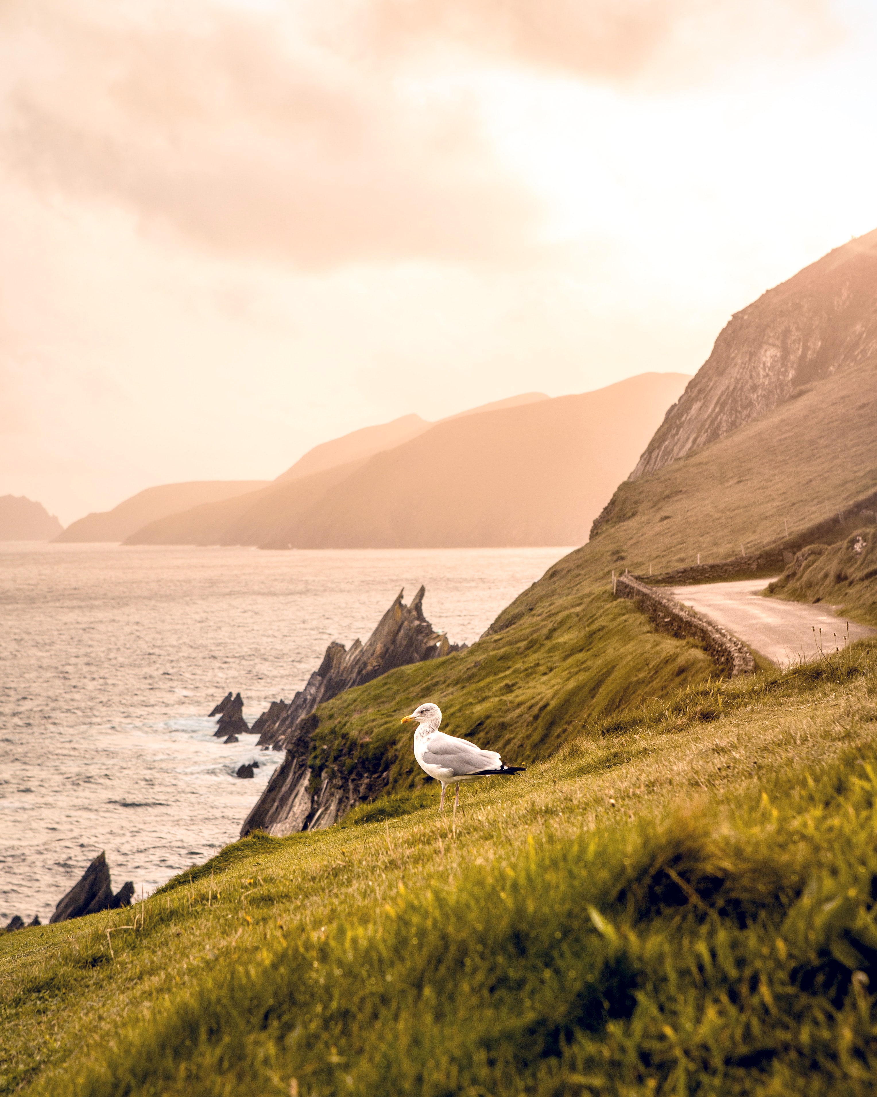 <p><strong>Location:</strong> County Kerry</p> <p>Pointing into the Atlantic Ocean like a finger, the Dingle Peninsula is an incredible stretch of natural beauty: <a href="https://www.cntraveler.com/galleries/2015-09-29/the-worlds-most-insanely-beautiful-coastlines?mbid=synd_msn_rss&utm_source=msn&utm_medium=syndication">seaside cliffs</a>, sheep-strewn fields, and Crayola-green hills. A short ferry ride away are the Blasket Islands, which once hosted a thriving community of Irish writers, but were abandoned in the 1950s after young residents emigrated en masse. Today, the on-site heritage museum—and remote, empty landscapes—are lovely yet somber reminders of a community lost.</p><p>Sign up to receive the latest news, expert tips, and inspiration on all things travel</p><a href="https://www.cntraveler.com/newsletter/the-daily?sourceCode=msnsend">Inspire Me</a>