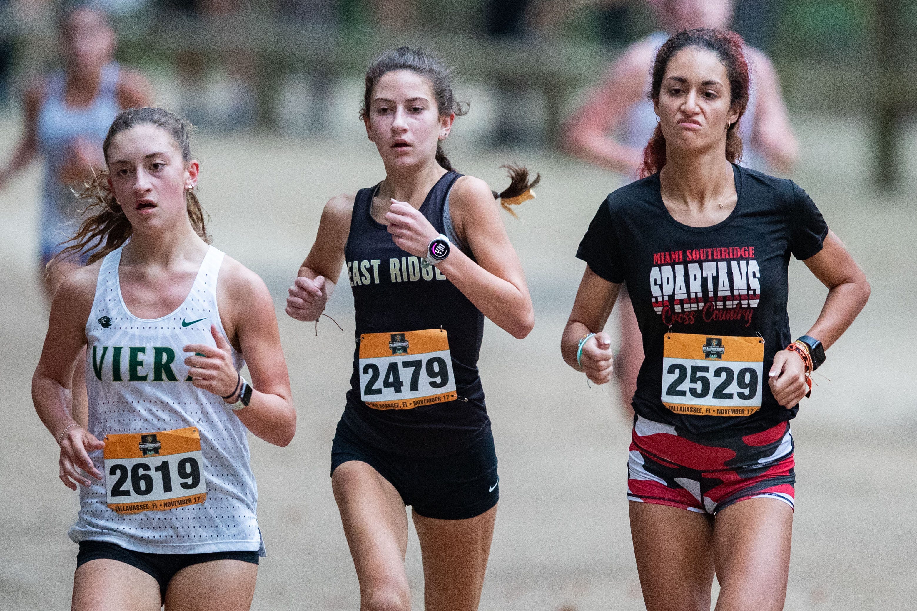 Brevard County in 2023 FHSAA cross country championship meet