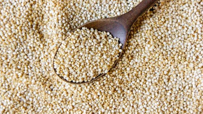 7 manfaat quinoa dan efek sampingnya,cocok untuk penderita diabetes karena bisa turunkan gula darah
