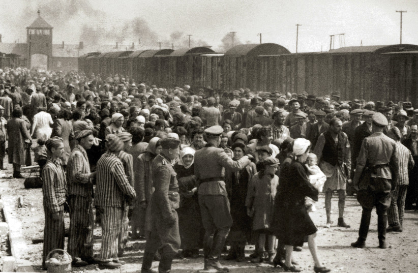 how did starving as youngsters during the holocaust affect survivors and their descendants?