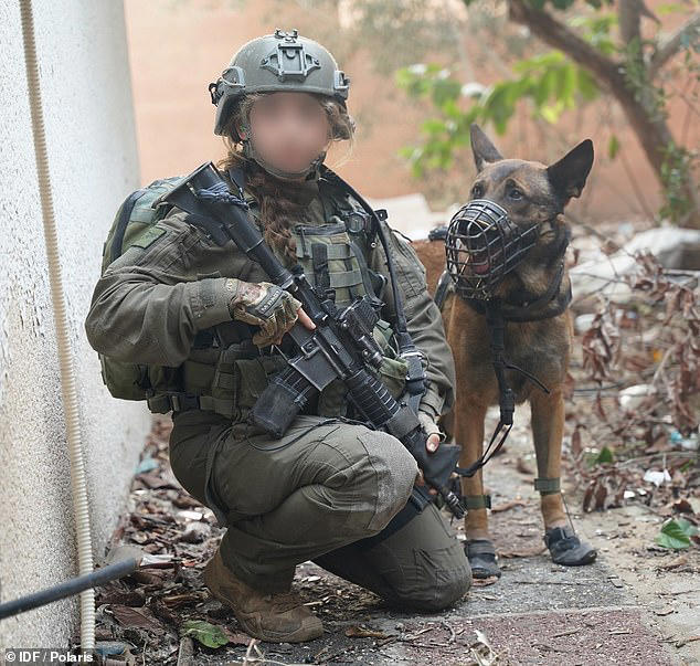 The canines were vital in finding firearms hidden at the contested al-Shifa and Turkish hospitals in Gaza City, as well as being responsible for finding the bodies of two kidnapped hostages