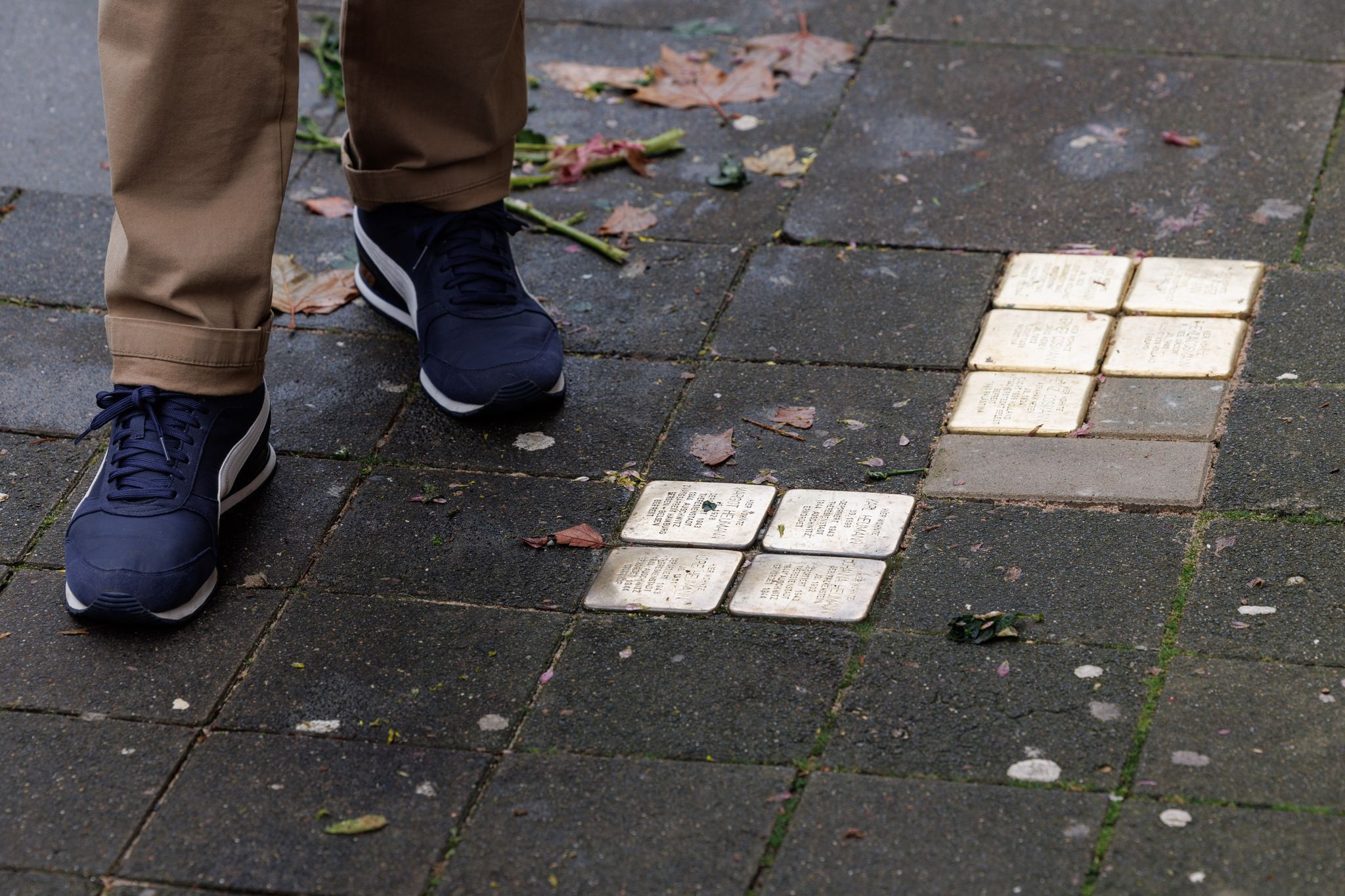 Stolpersteine Mit Hakenkreuzen Beschmiert: Zeugen Gesucht