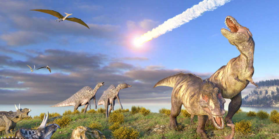 wegen fußabdrücken: neue dinosaurierart entdeckt