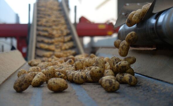 france in farming crisis as cost of potatoes soars - making chips and crisps expensive