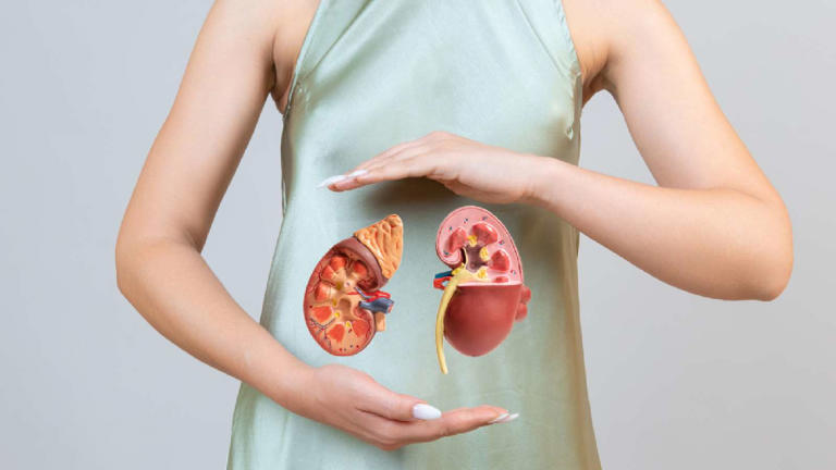 5 diet tips to reduce creatinine levels for healthy kidneys