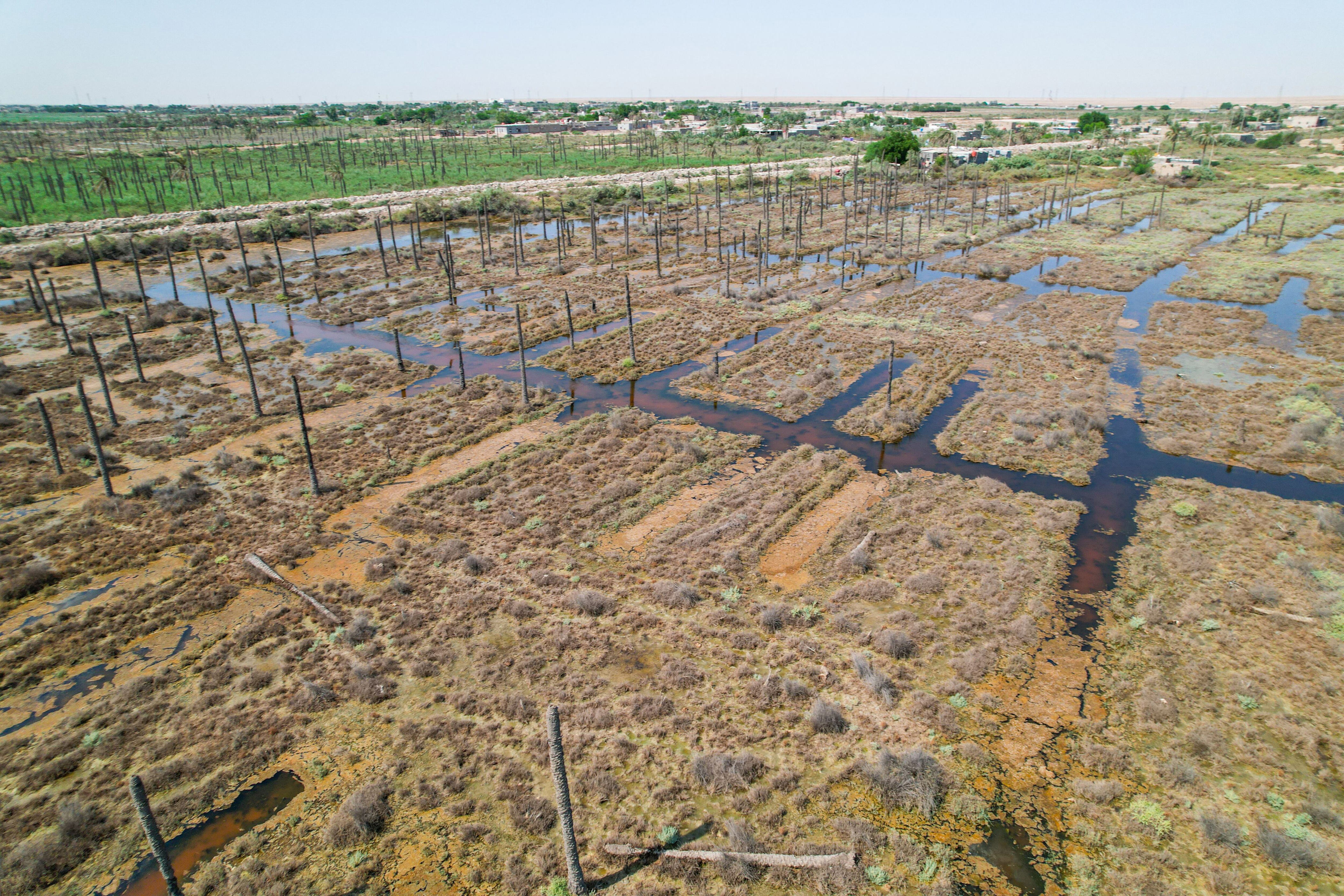 farmers abandon fields and livelihoods as climate change ravages iraq