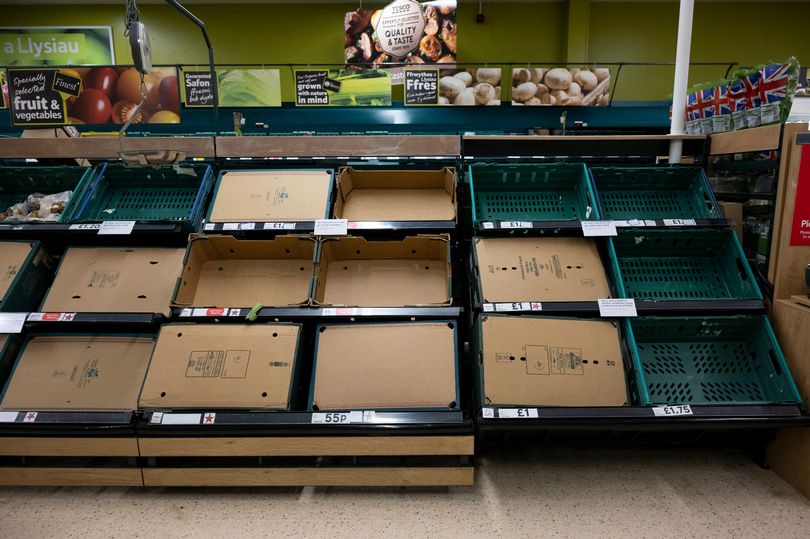christmas dinner fears as shoppers warned to expect empty shelves after supply issues