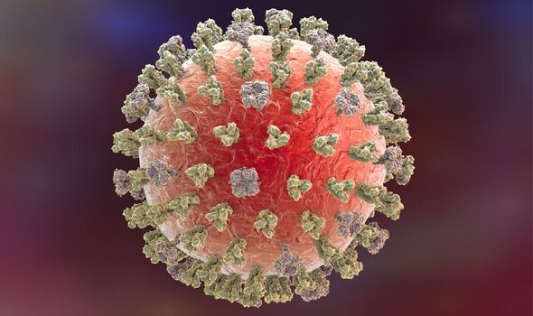 first human case of virus similar to swine flu found in uk