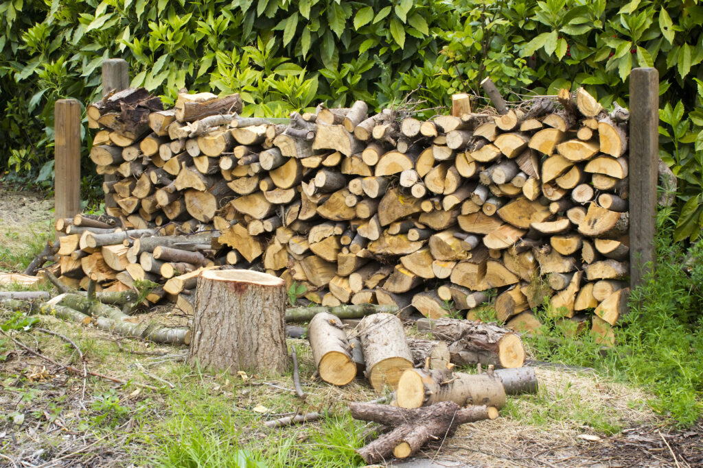 4 conseils pour protéger votre bois de chauffage des nuisibles
