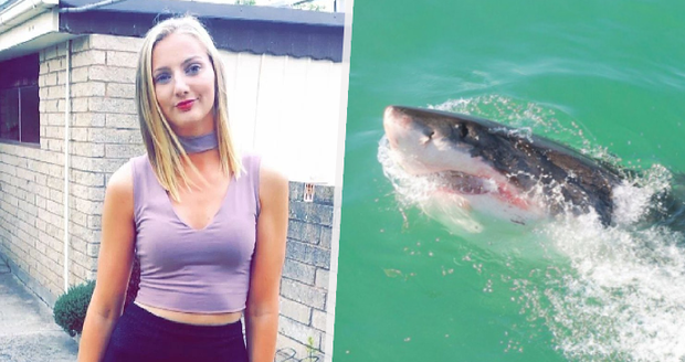 turistku v dovolenkovém ráji napadl žralok tygří: tělo ještě nenašli!