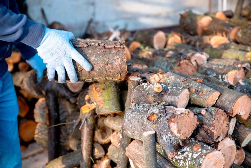 4 conseils pour protéger votre bois de chauffage des nuisibles