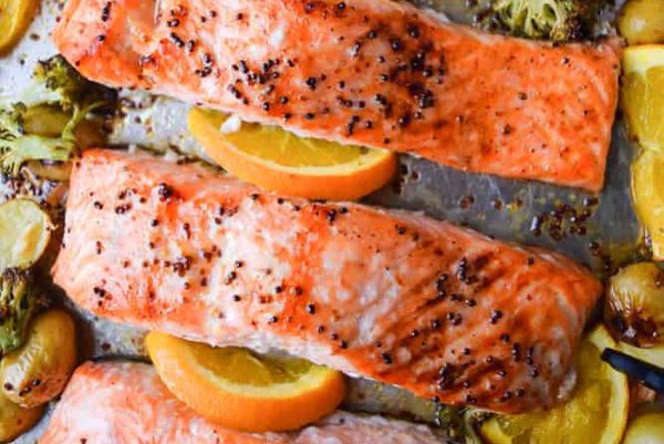 25 Salmon Recipes So Delicious, Even Your Cat Will Beg for a Bite!