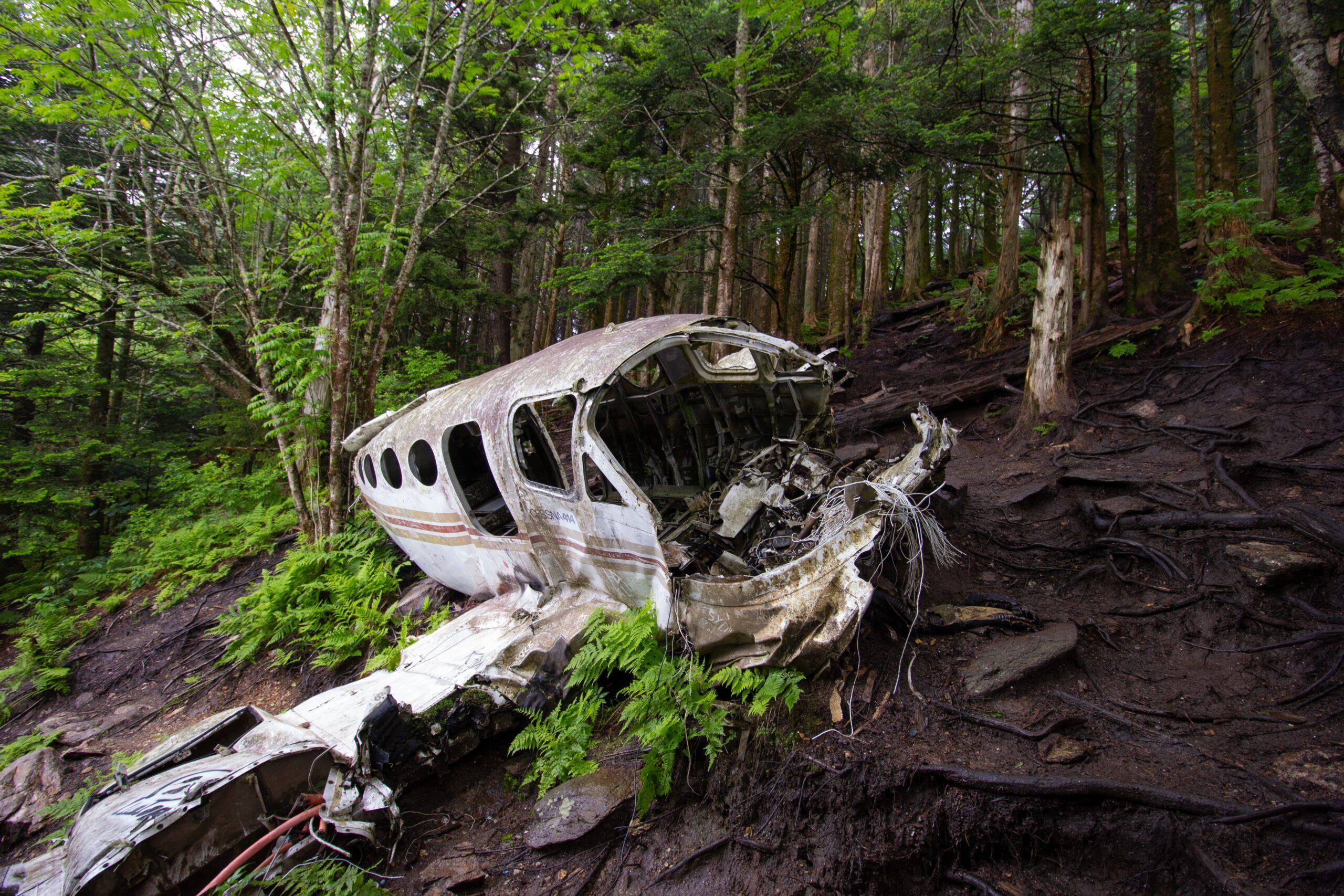 Катастрофа 1 мая. Разбитый самолет в джунглях. Самолет в джунглях. Крушение в джунглях.