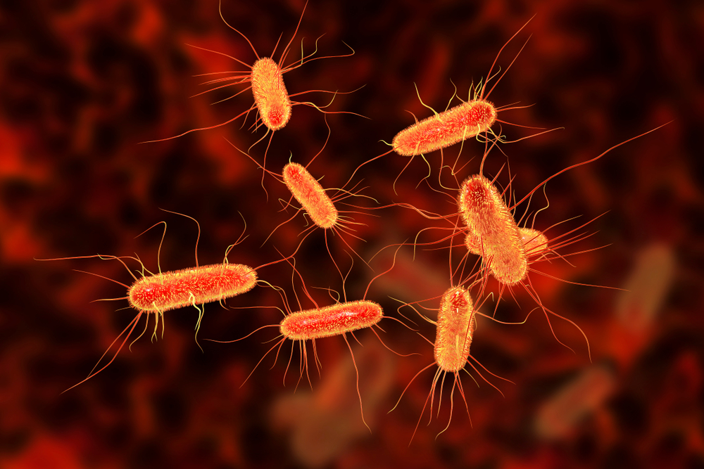 «science»: το βακτήριο e. coli μπορεί να γίνει ανθεκτικό στα κοινά αντιβιοτικά