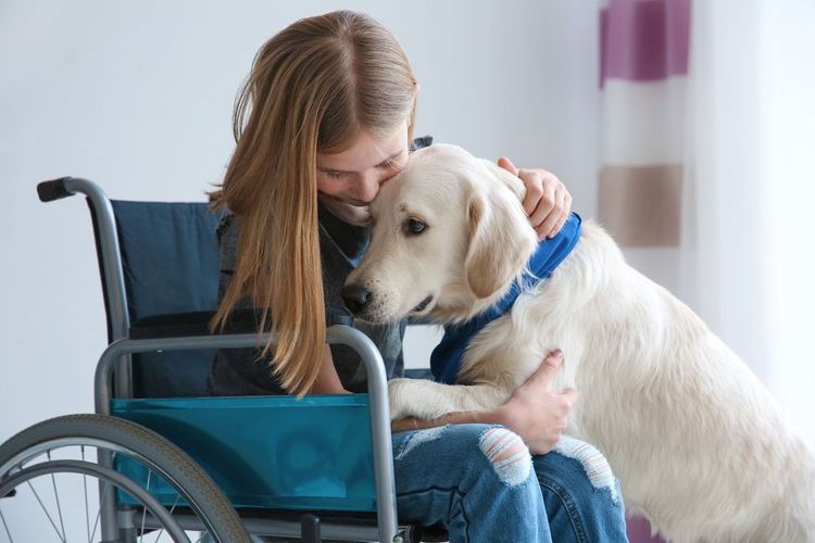 these dog breeds make the best service dogs