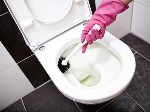 toilette stinkt: hausmittel neutralisiert unangenehme gerüche