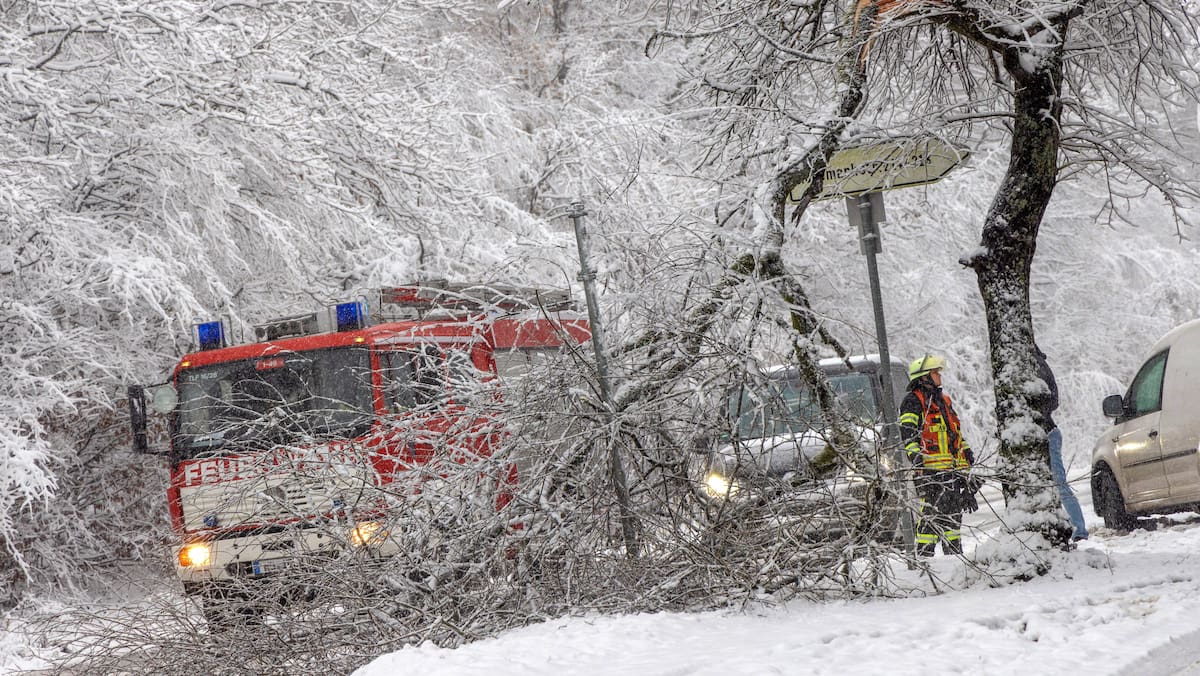 «bäume stürzen um wie streichhölzer»: schneewalze überrollt westen deutschlands