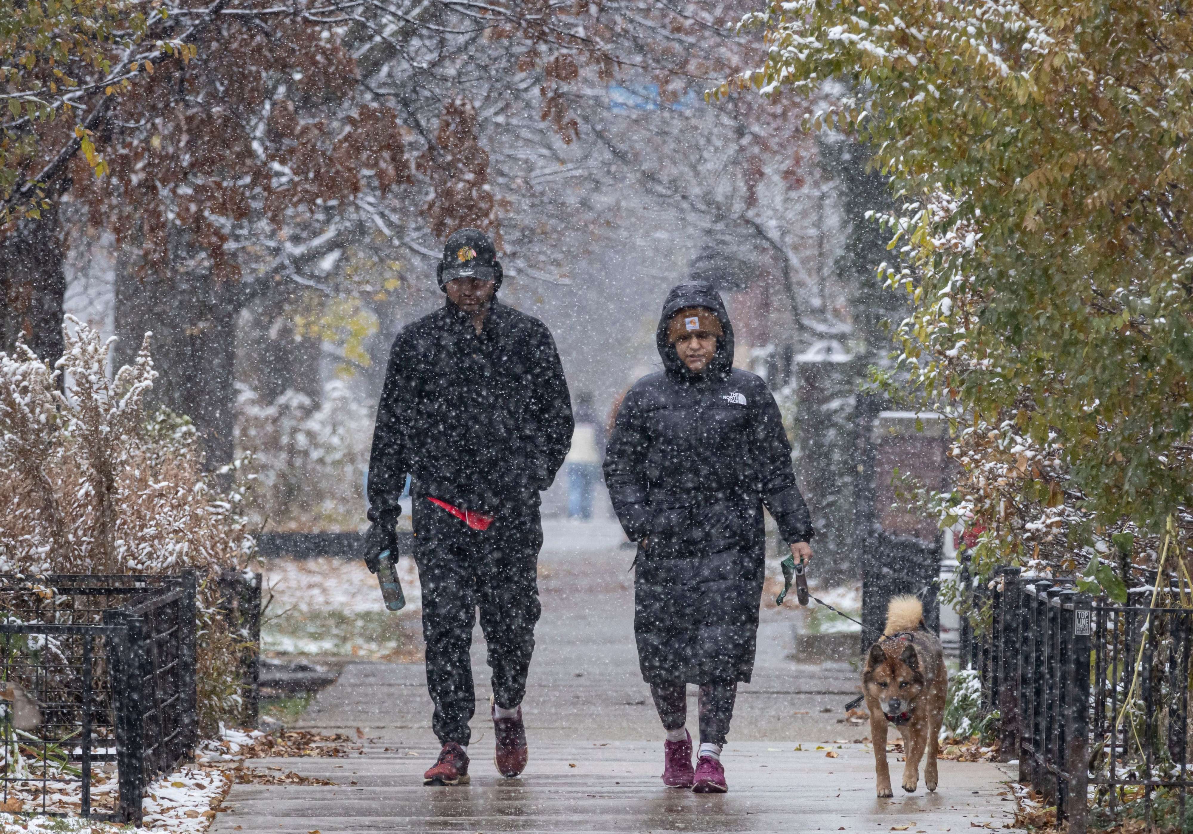 se espera un fuerte invierno de el niño, según los científicos. esto es lo que significa para la nieve y las temperaturas en chicago