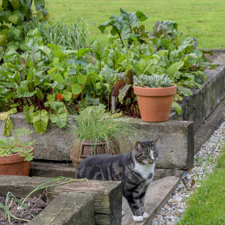 9 reasons your seeds aren't germinating, according to gardening experts