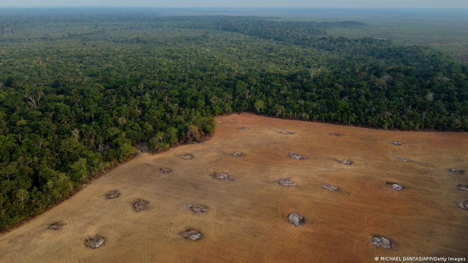 amazon, el fondo amazonía: ¿un modelo global para la protección del clima?