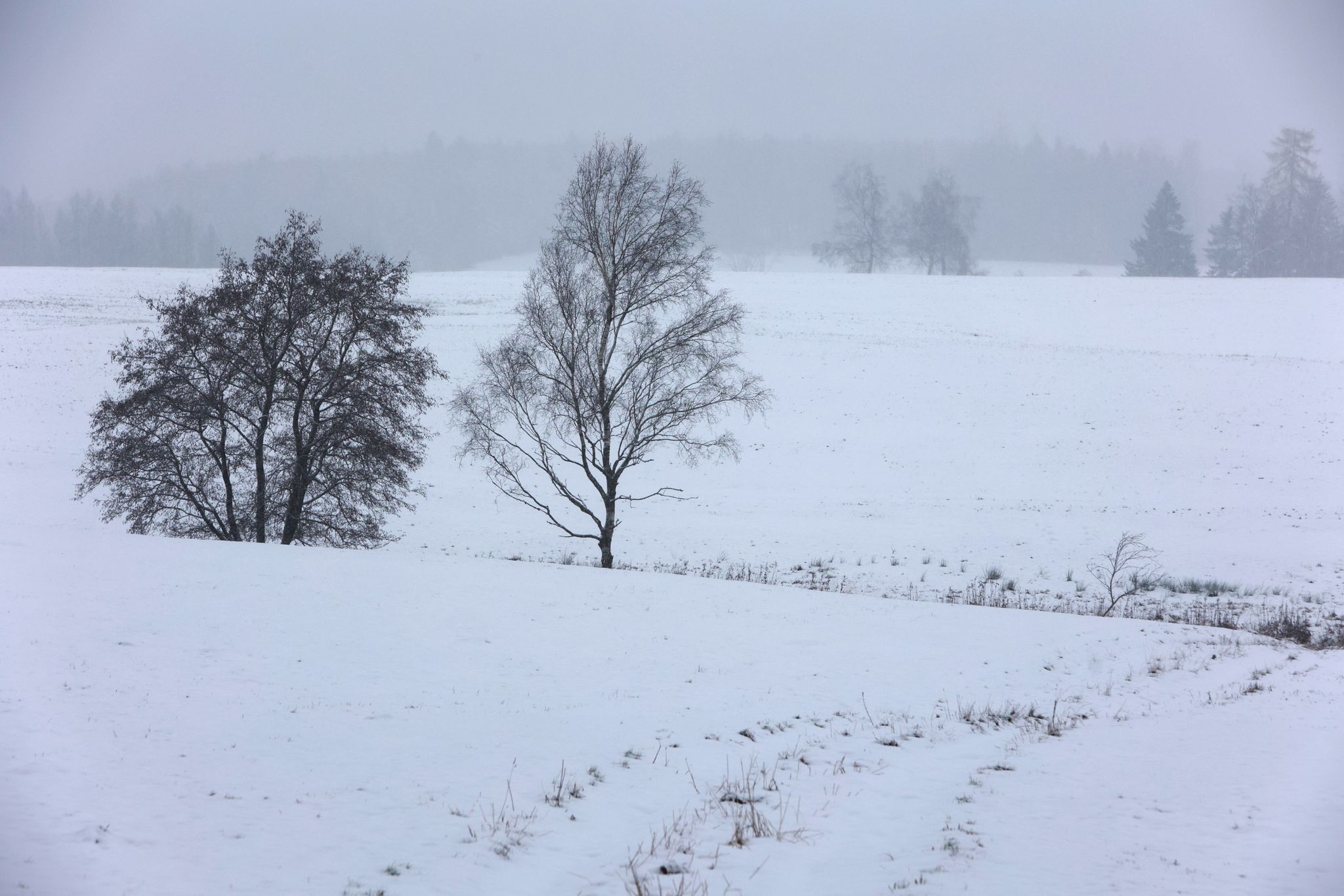 schnee, wolken und minusgrade in sachsen-anhalt